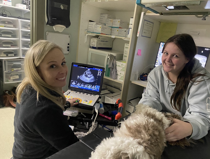 Pet Ultrasound